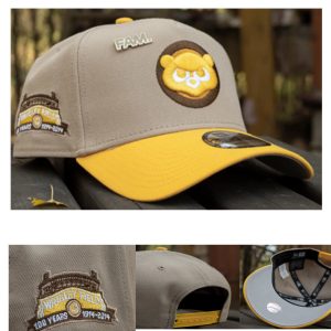 New Arrivals Snapback Hat 220