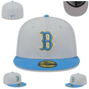 Classic Style Fitted Hat 36