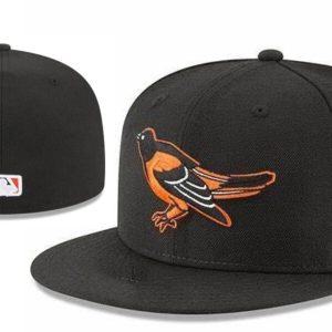 Classic Style Fitted Hat 71