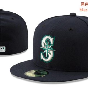 Classic Style Fitted Hat 77