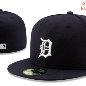 Classic Style Fitted Hat 83