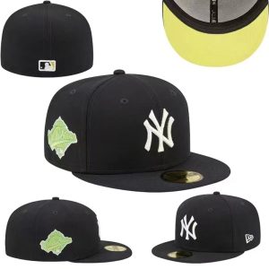 New Arrivals Fitted Hat 285